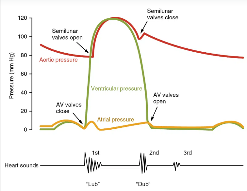 <p>Pressure Graphs - DETAILED DESCRIPTION </p>