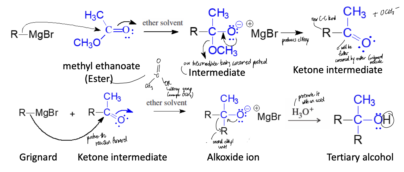 <p>Ester Addition Reaction</p>