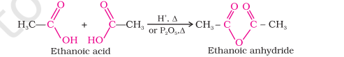 <ul><li><p>Carboxylic acids heat with mineral acids like conc. H2SO4 or P2O5 to give us anhydrides</p></li><li><p>Acid anhydrides are formed by the elimination of a water molecule</p></li></ul>