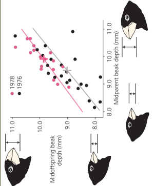 <p>What would be the trendline of a variable trait if it was not due to inheritance? why?</p>