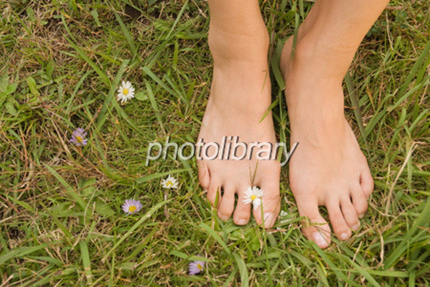 <p>barefoot ( adj, adv)</p>