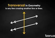 <p>A line that passes through two lines in the same plane at two distinct points</p>