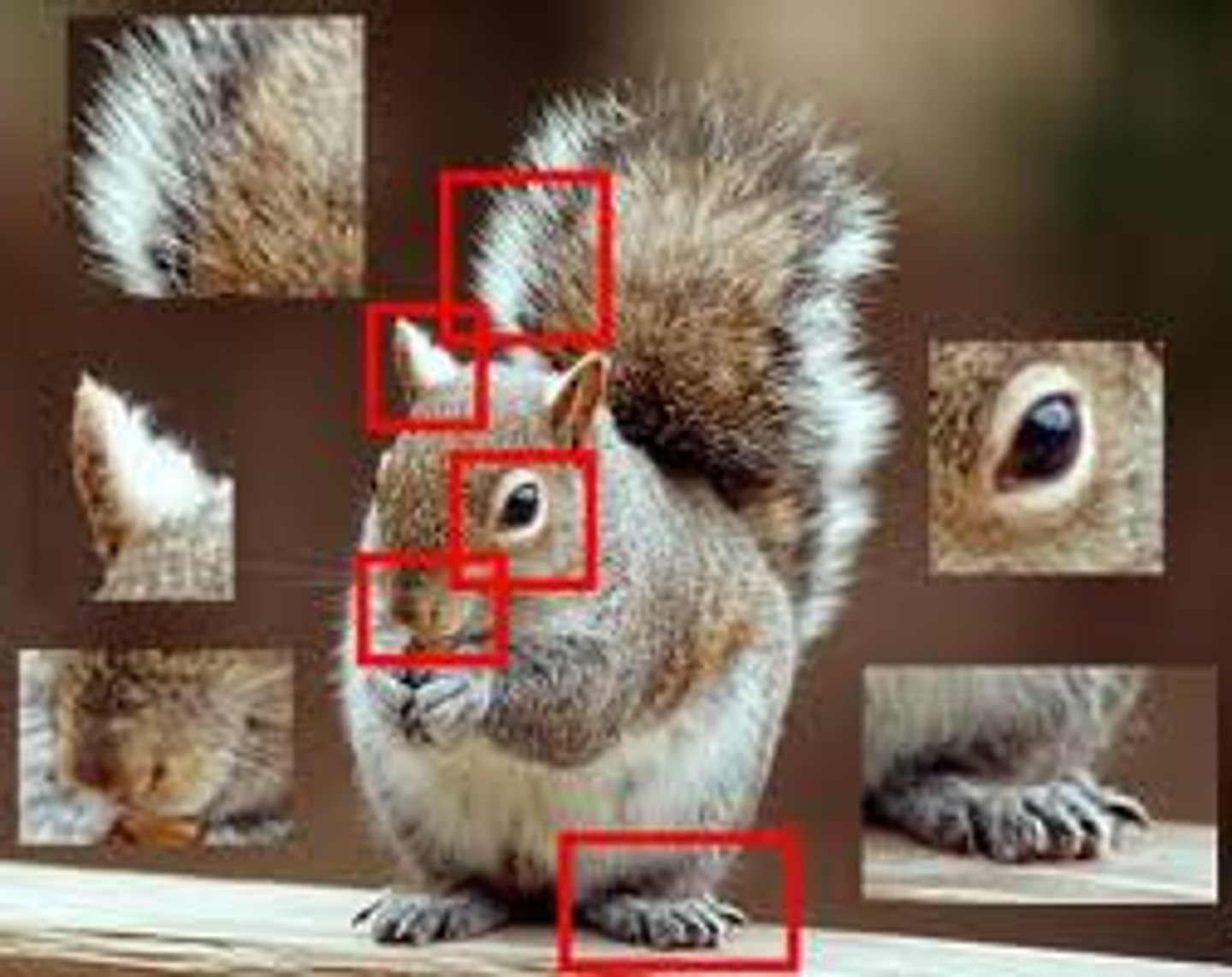 <p>a particular part or feature of something</p>
