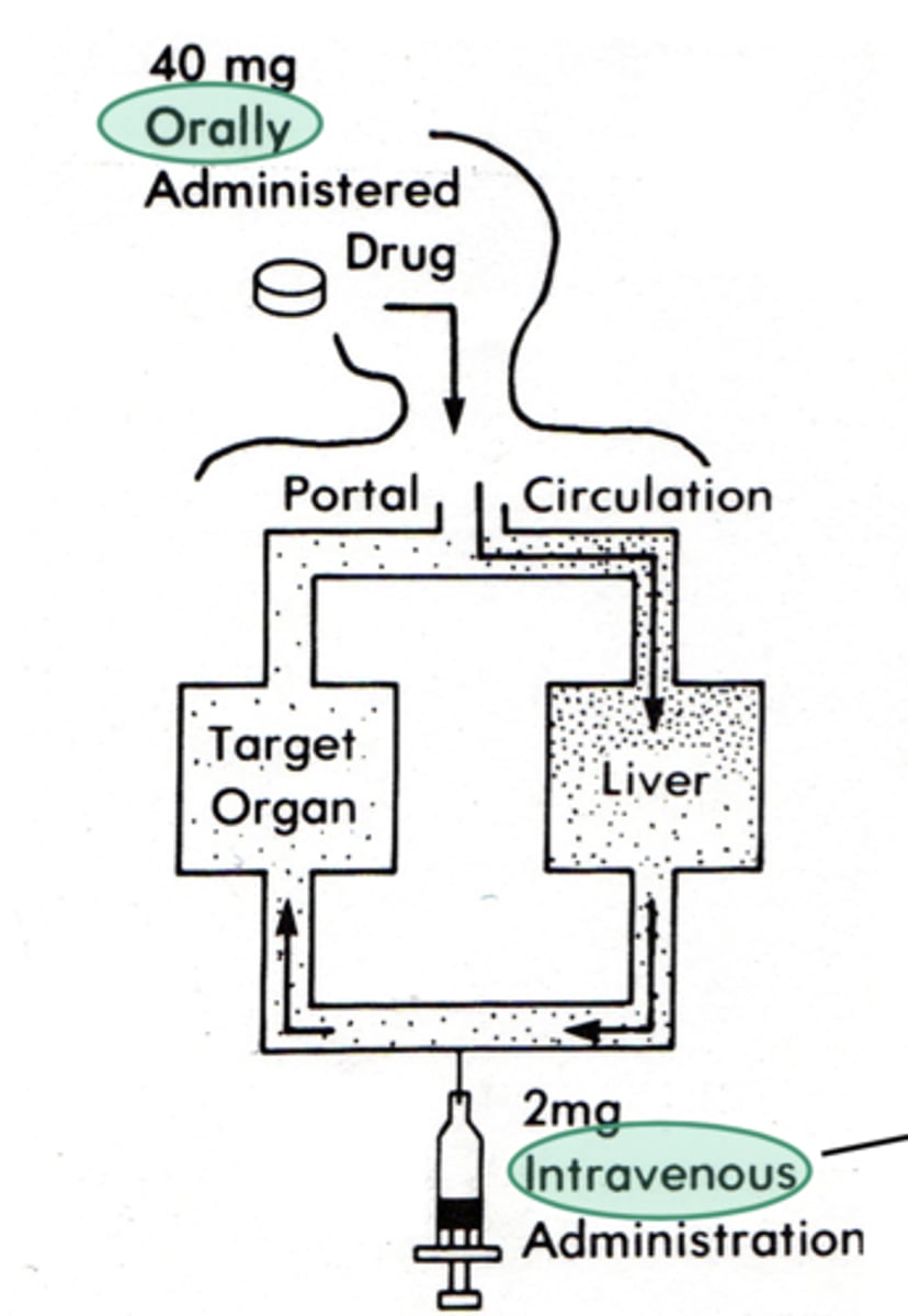 <p>Any drug taken orally is impacted by the first pass effect since its changed chemically by the liver, leaving a smaller amount of drug available to move into circulation.</p>