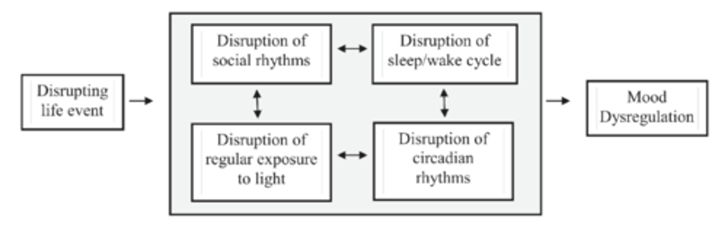 <p>Aim: examine the efficacy of group CBSRT in veterans with PTSD + MDD + sleep disruption</p><p>Basic idea: stressful life events disrupt social rhythms which provide time cues to circadian rhythms, contributing to mood dysregulation</p><p>Give attention to the role of light as the primary time cue for the circadian clock</p>