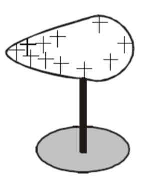 <ol><li><p>Attach a nail to the surface of a working Van der Graff generator.</p></li><li><p>Bring a candle close to the point </p></li><li><p>Notice the flame moves away.</p></li><li><p>Conclusion: This is because the ‘wind’ generated by point discharge.</p></li></ol>
