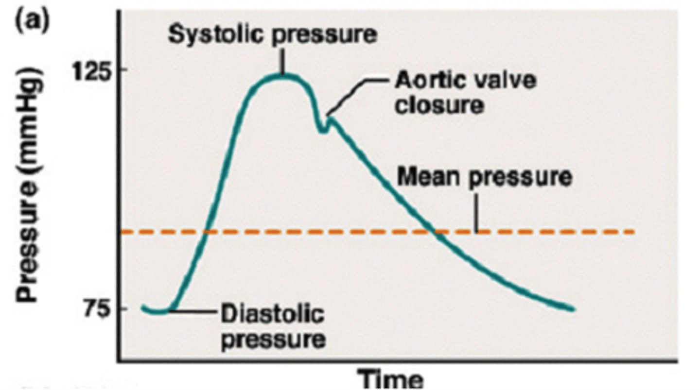 <p>Systolic blood pressure is when the heart contracts and creates larger pressure on artery walls (normal range 90-120). Diastolic blood pressure is when the heart relaxes and there is less pressure on the artery walls (normal range 60-80).</p>