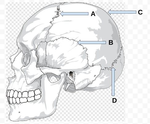 <p>what is C? </p>
