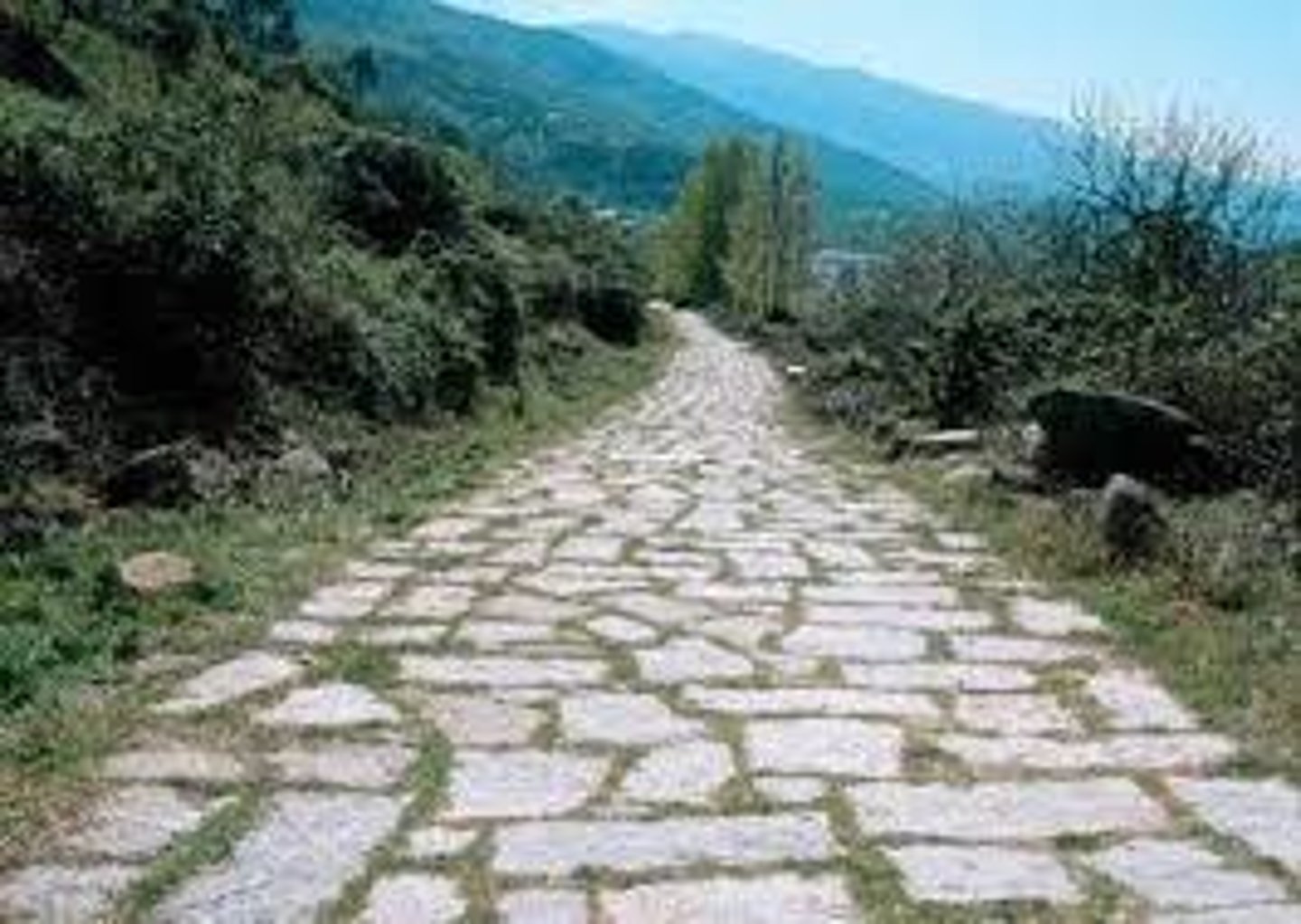 <p>street</p>