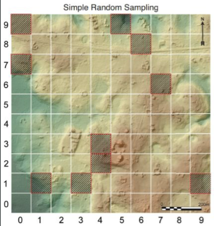 <ul><li><p>completely random</p></li></ul><p></p>