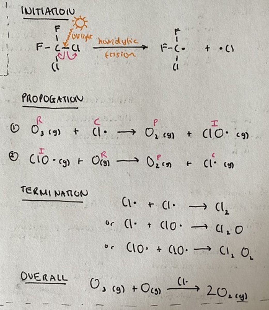 <p>- Chlorine radical formed during initiation (also known as photodissociation / photolysis)</p>