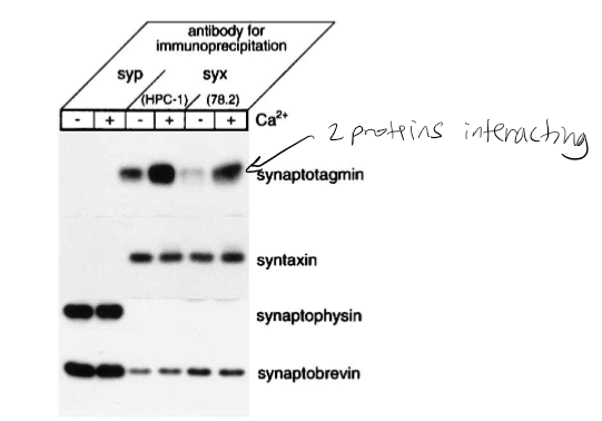 <p>Figure 1: <span style="background-color: transparent;">What is the conclusion and what part of the data led to this conclusion?</span></p>