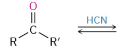 <p>k19 nukleofil addition til aldehyd og keton</p>