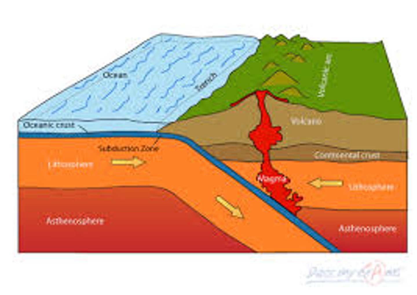<p>A continent-continent convergent plate boundary</p>
