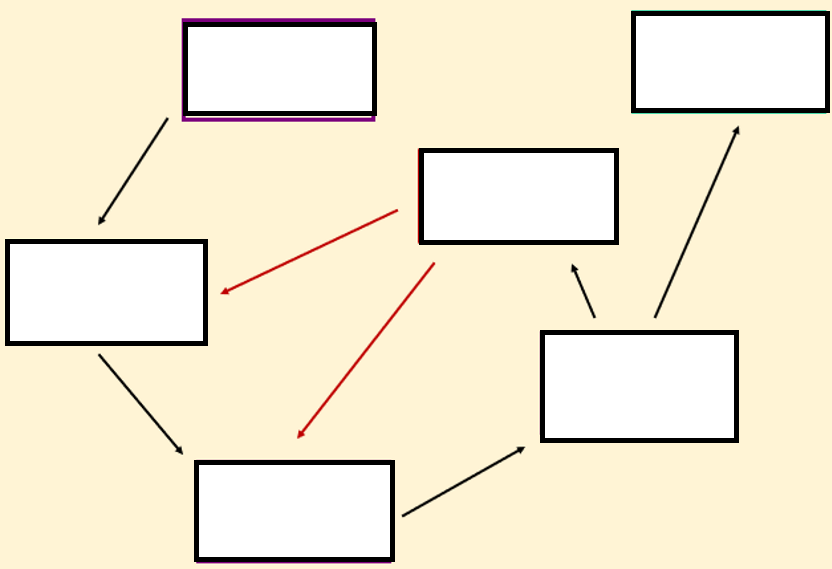 <p>what is the transtheoretical/ stages of change model</p>