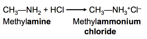 amine+acid-> alkyl ammonium chloride 
- reversible as addition of NaOH converts back to the amine
- These ionic salts will be solid crystals, if the water is evaporated, because of the strong ionic interactions
- The ionic salts formed in this reaction means that the compounds are soluble in the acid e.g. Phenylamine is not very soluble in water but phenylammonium chloride is soluble