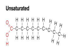 <p>If a fatty acid is unsaturated it means it has adjacent carbons that are joined by double bonds instead of single bonds.</p>