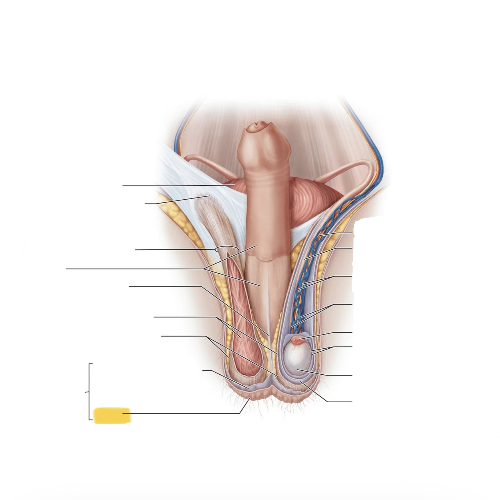<p>What is this structure?</p>