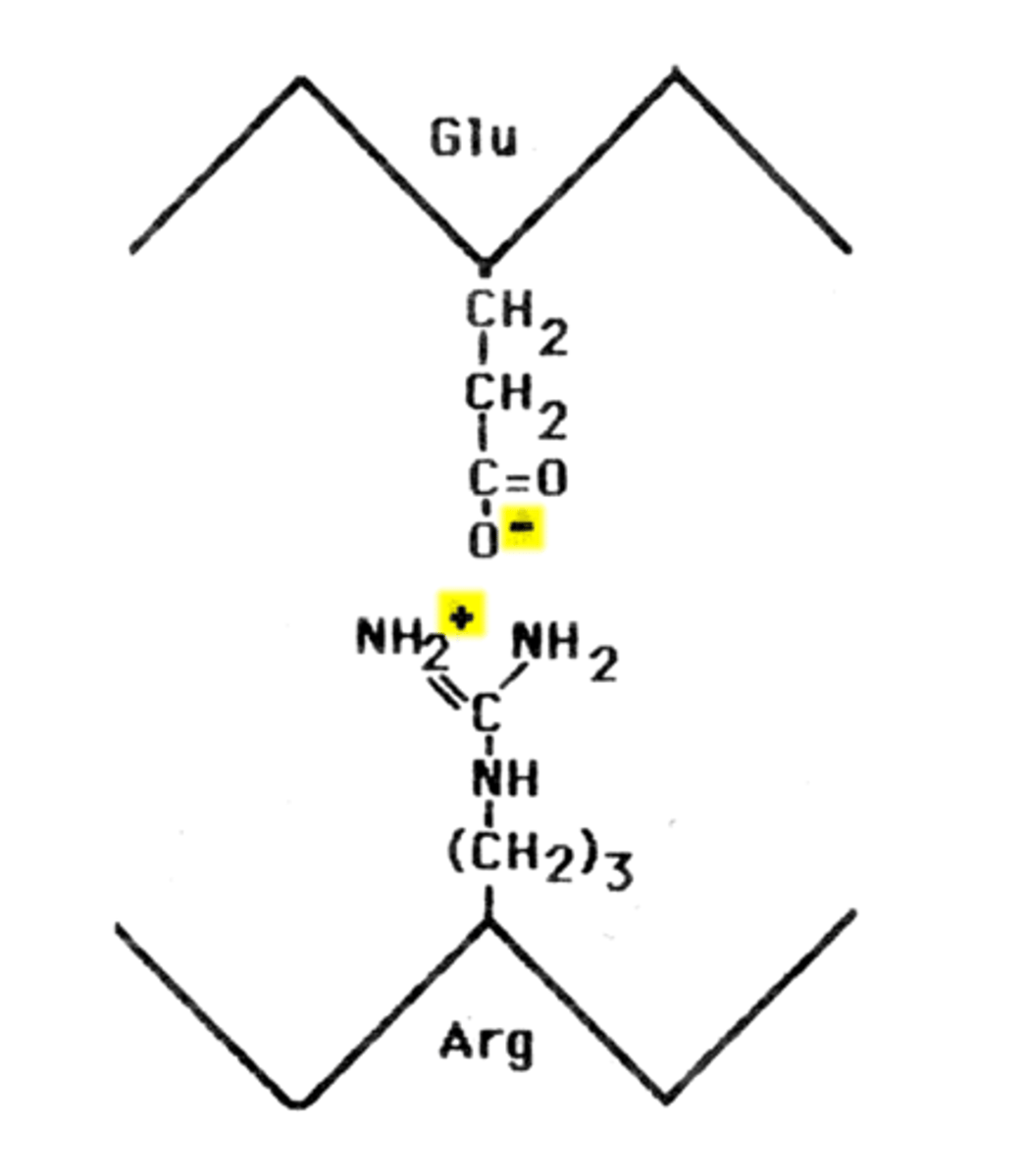 <p>Attraction between positive and negative charges on side chains</p>