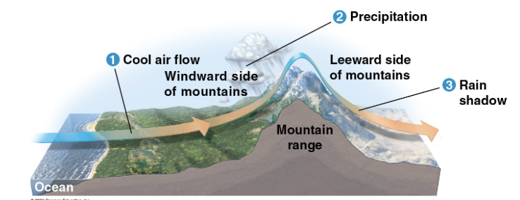 <p>Moisture filled air is forced up over a mountain from the ocean. It is cooled and releases moisture - producing rain fall on the windward side. The air eventually falls back down on the leeward side</p>