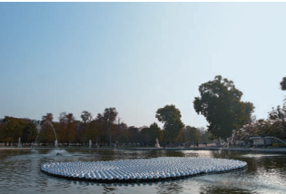 <p>Narcissus Garden</p>