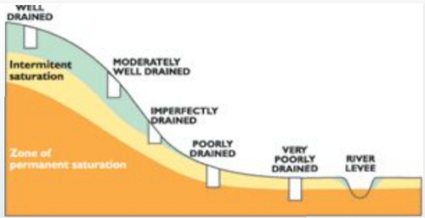 <p>a property soil is determined by, slope and arrangement of landscape, amount of erosion, depth of soil, soil quality)</p>