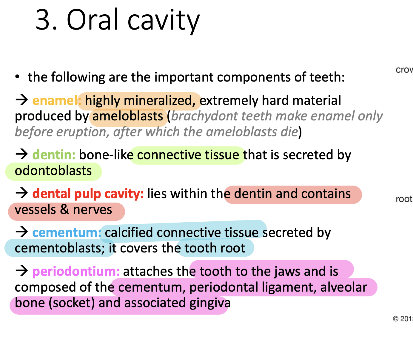 What is **Periodontium** and what does it consist of? 