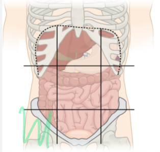<p>what is the region shaded called?</p>