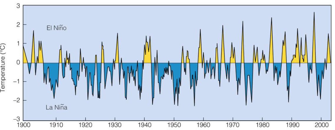 <ul><li><p>ENSO = el nino/southern oscillation</p></li><li><p>sea surface temperature anomalies in the mid-pacific ocean for 1900-2003</p></li><li><p>el nino has warm temperature anomalies</p></li></ul>