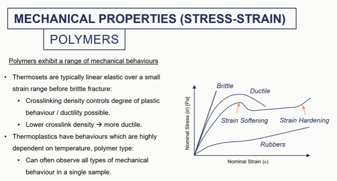 <p>polymer graph </p>