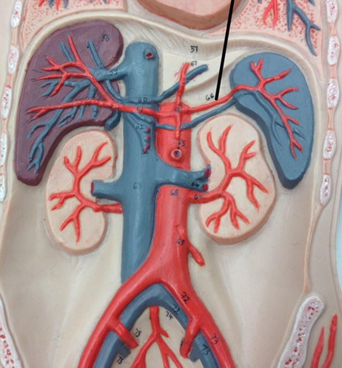 <p>What structure?</p>