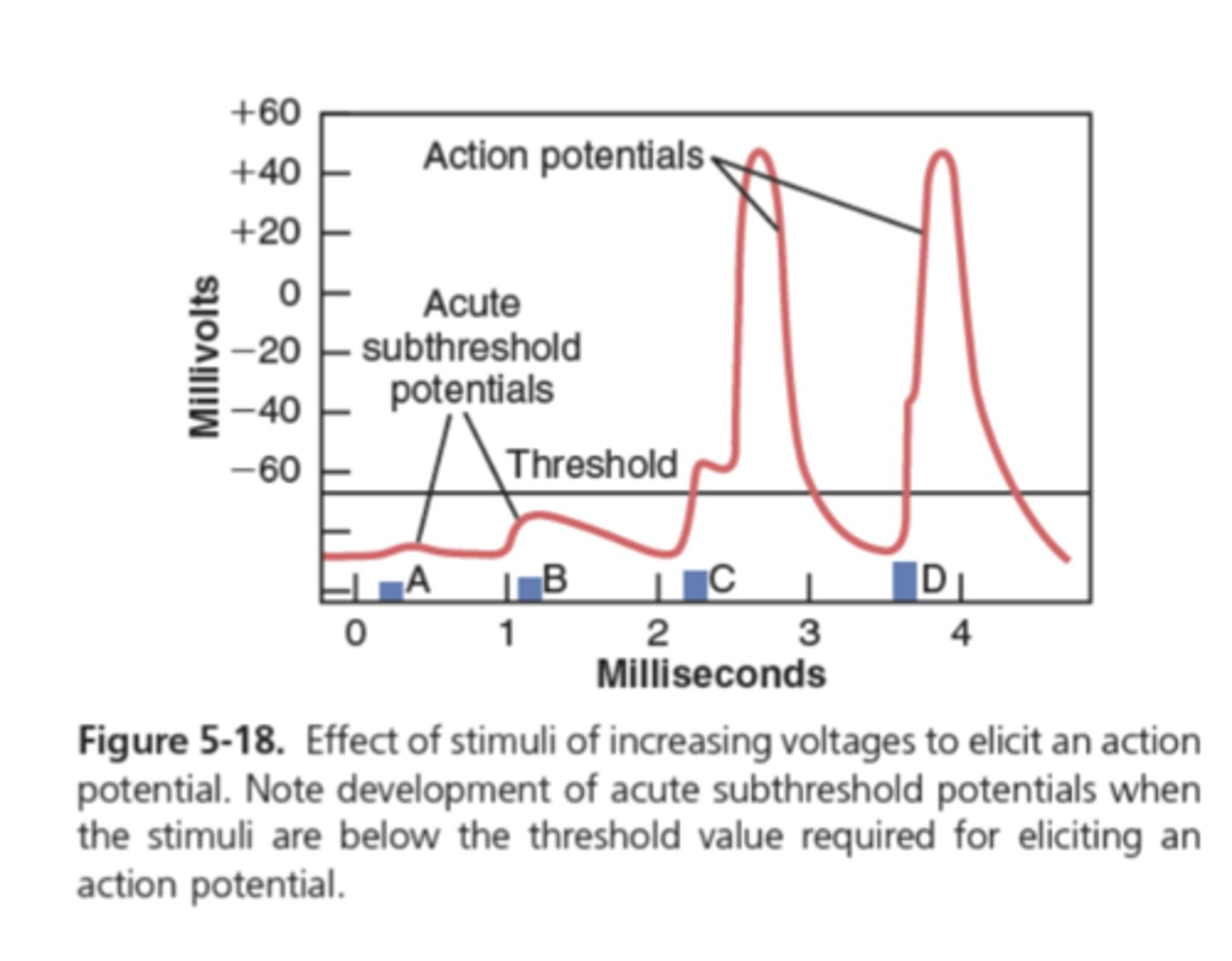 <p>What is threshold potential? </p>