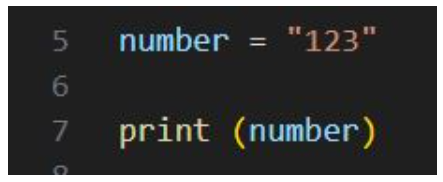 <p>What type of variable is this number?</p>