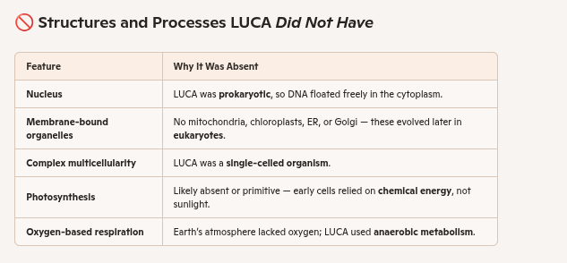 <p><span style="background-color: transparent; font-family: "Times New Roman", serif;"><span>Describe the first cells on Earth., the common ancestor to all current cells. What structures and processes would they have had? What structures and processes would they not have had?</span></span></p>