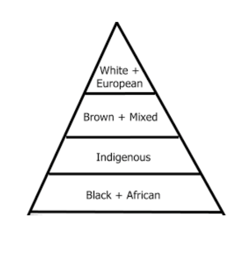 <p>white have historically gained advantages over blacks, indigenous, or other non white ethnicities, it shapes peoples lives and experiences, even with sport and physical culture</p>