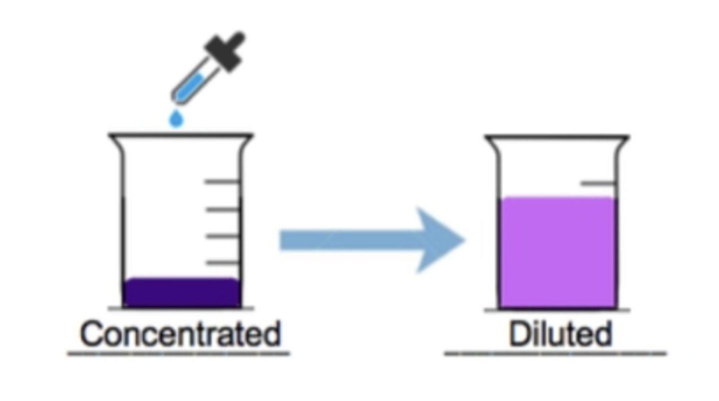<p>the process of adding a solvent to a solution to reduce the concentration of the solute</p>