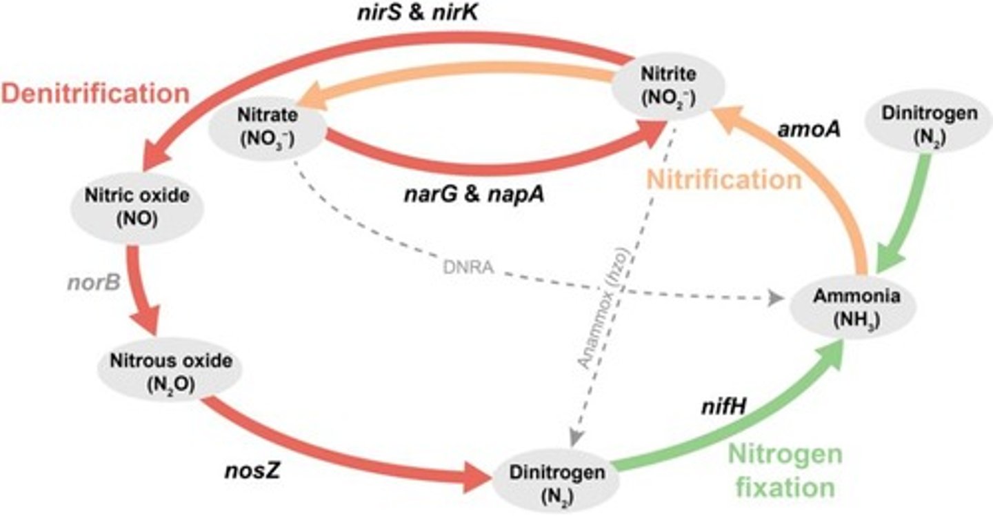 <p>To reduce the amount of harmful forms of nitrogen entering the environment.</p>