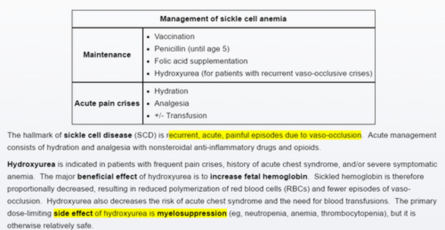 <p>Hydroxyurea</p><p>Myelosupression—Neutropenia, Anemia</p>