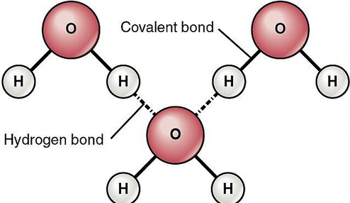 <p>a strong type of dipole-dipole interaction that occurs when hydrogen is bonded to  highly electronegative atoms like oxygen, nitrogen, and fluorine</p>