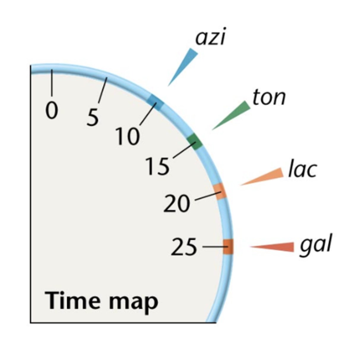 <p>predicted</p>