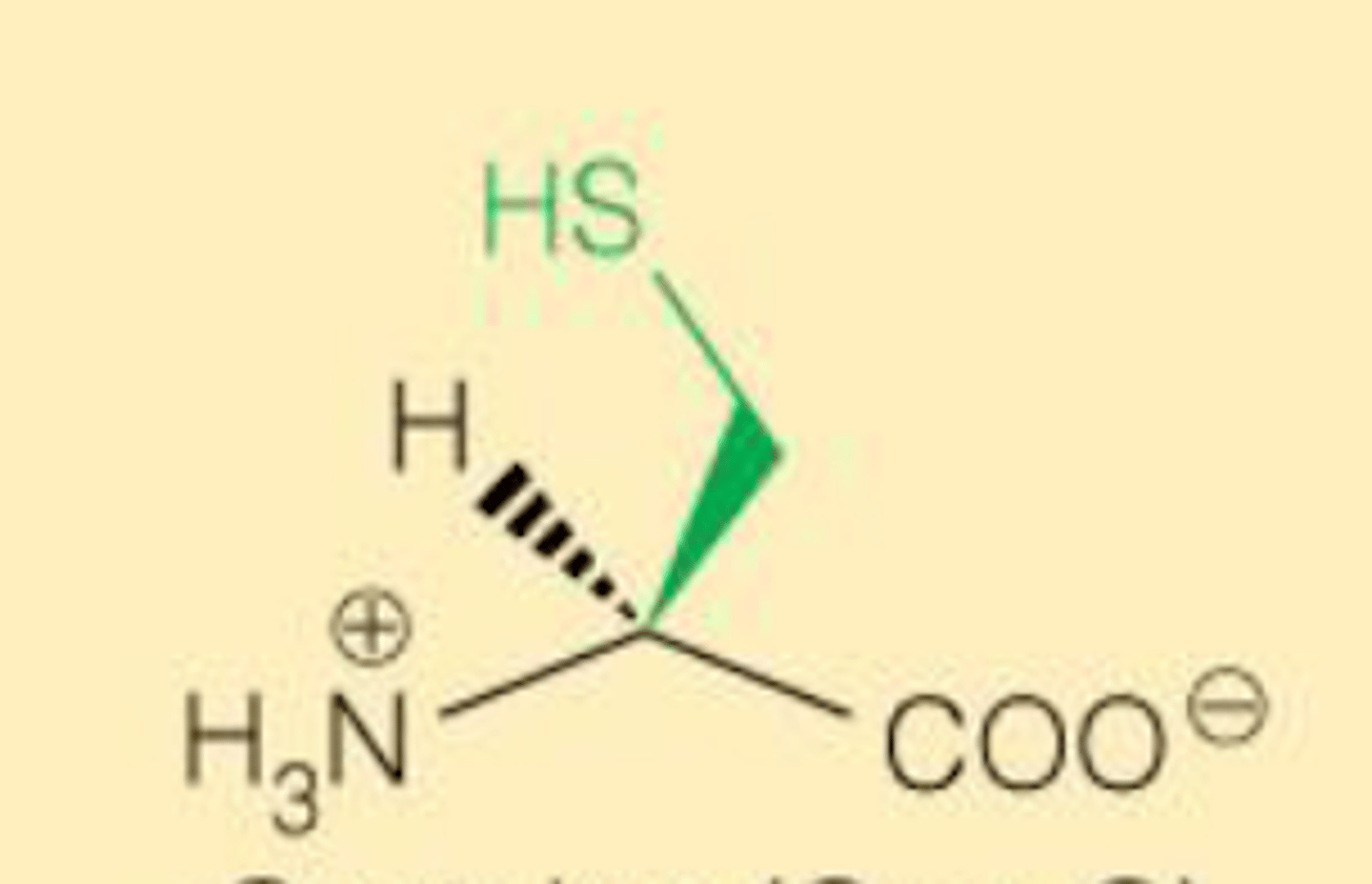 <p>Cys C pKr=8.4</p>