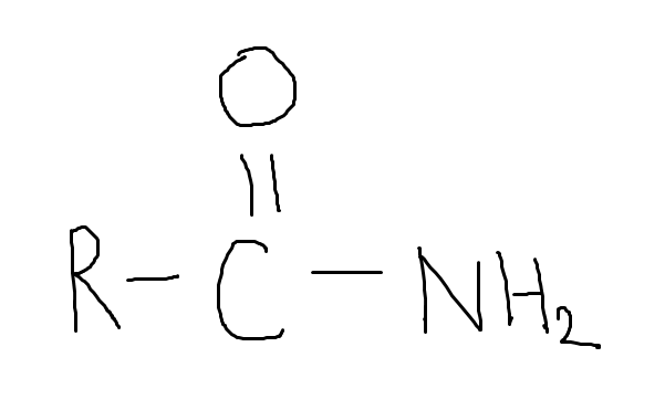 <p>-amide</p>