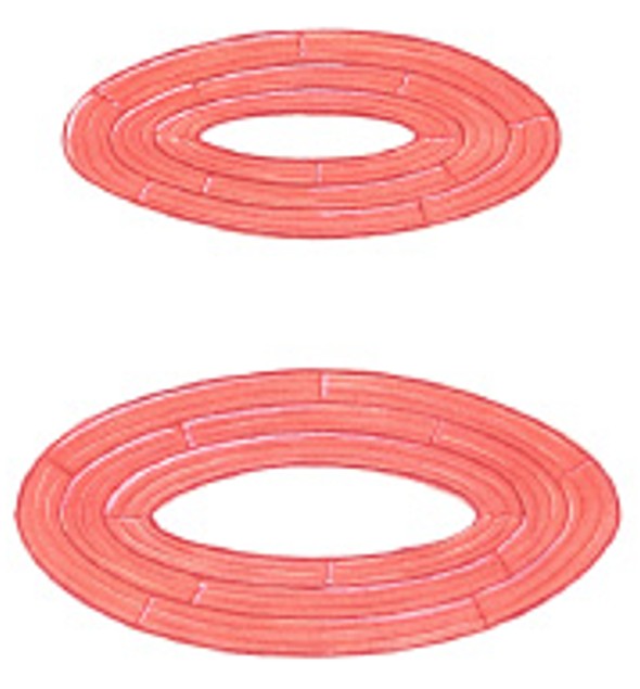 <p>Which pattern of fascicle organization is:</p><ul><li><p>Also called sphincters</p></li><li><p>Open and close to guard entrances of body</p></li></ul><p></p>