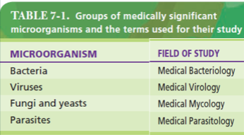 <p>Bacteria, Viruses, Fungi(Yeasts) and Parasites</p>