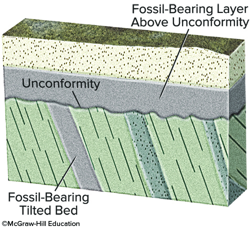 What would fossil ages from the geologic timescale tell us about the age of this unconformity?