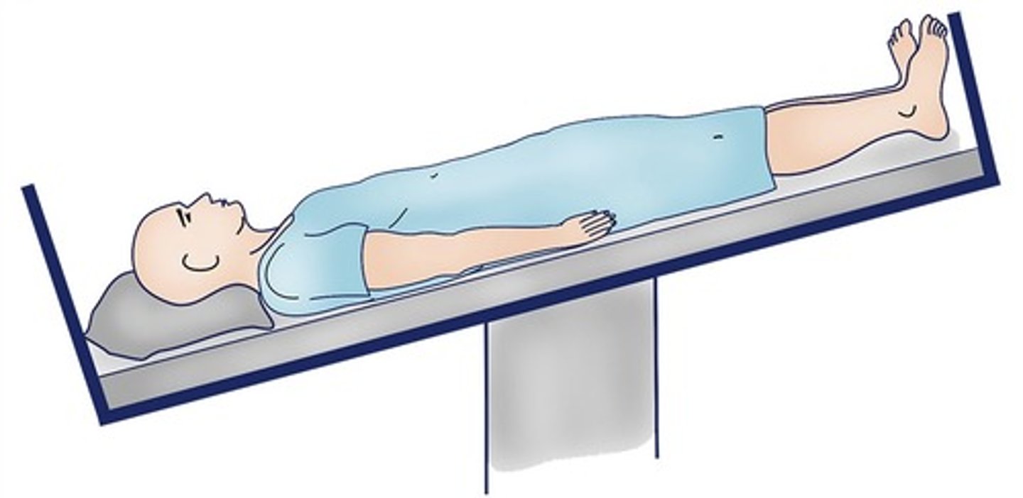 <p>(Position) Used for circulatory shock</p>