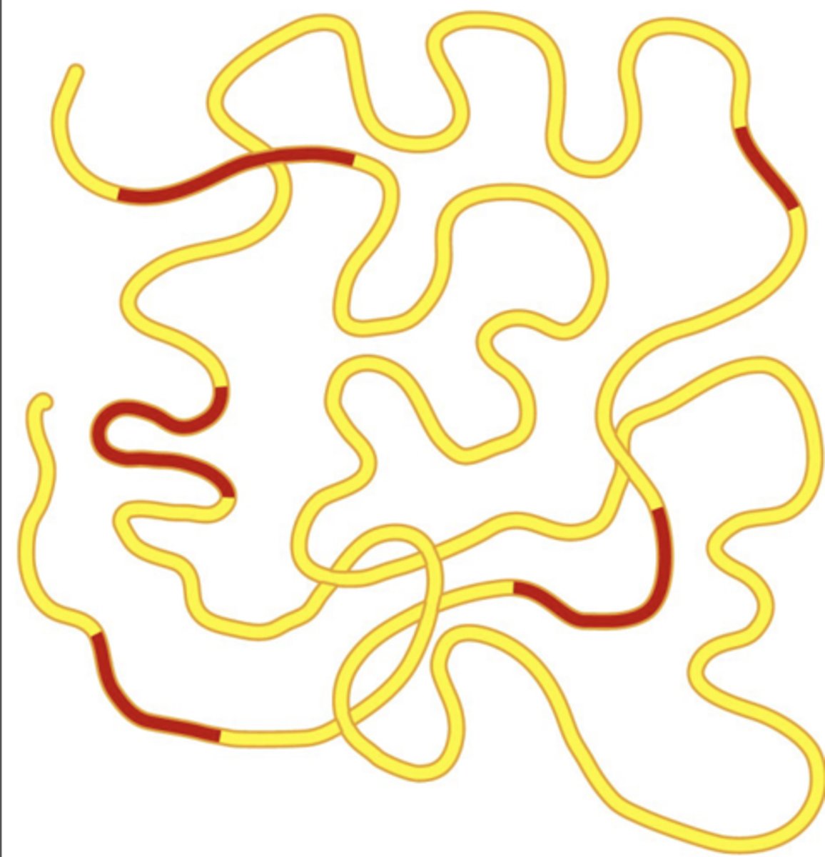 <p>1.5% genomic DNA encodes protein</p><p>2% biologically important sequences (promoters/enhancers)</p><p>96.5% "junk," non-coding DNA</p>