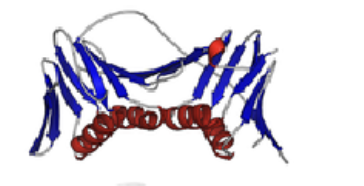 <p>Three-dimensional structure of entire protein</p><p>Includes all aspects of lower-level structures</p>