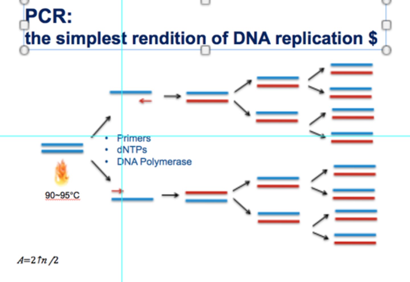 <p>1. Taq polymerase</p><p>2. Template DNA strand</p><p>3. Primer (20-30bp)</p><p>4. deoxynucleotide triphosphates</p>