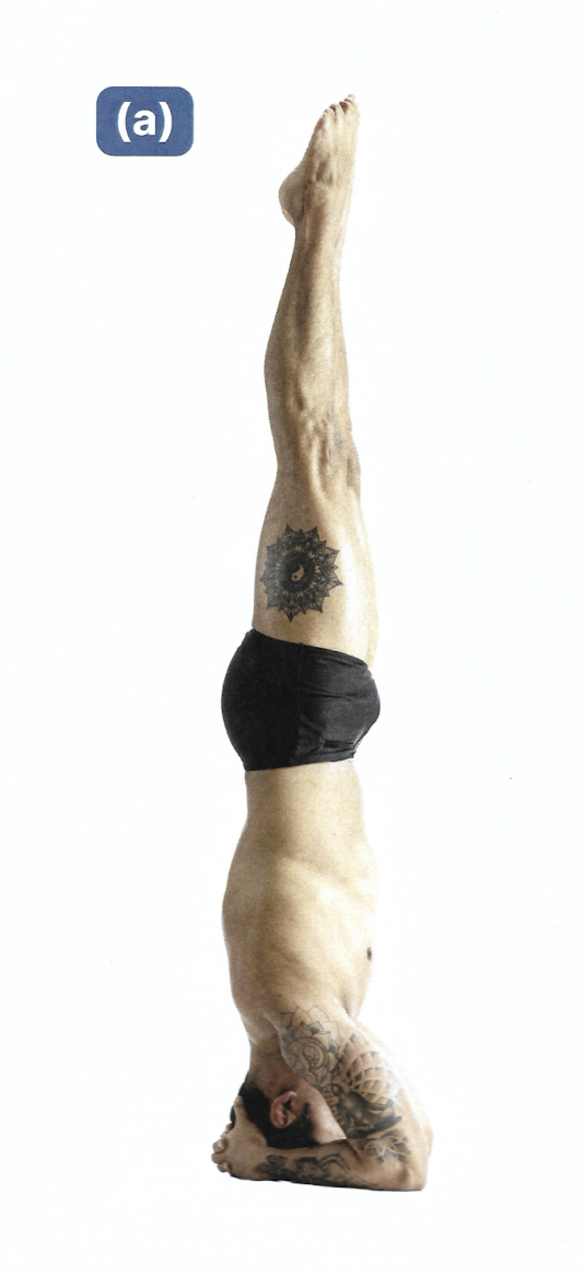 <p>Headstand</p>